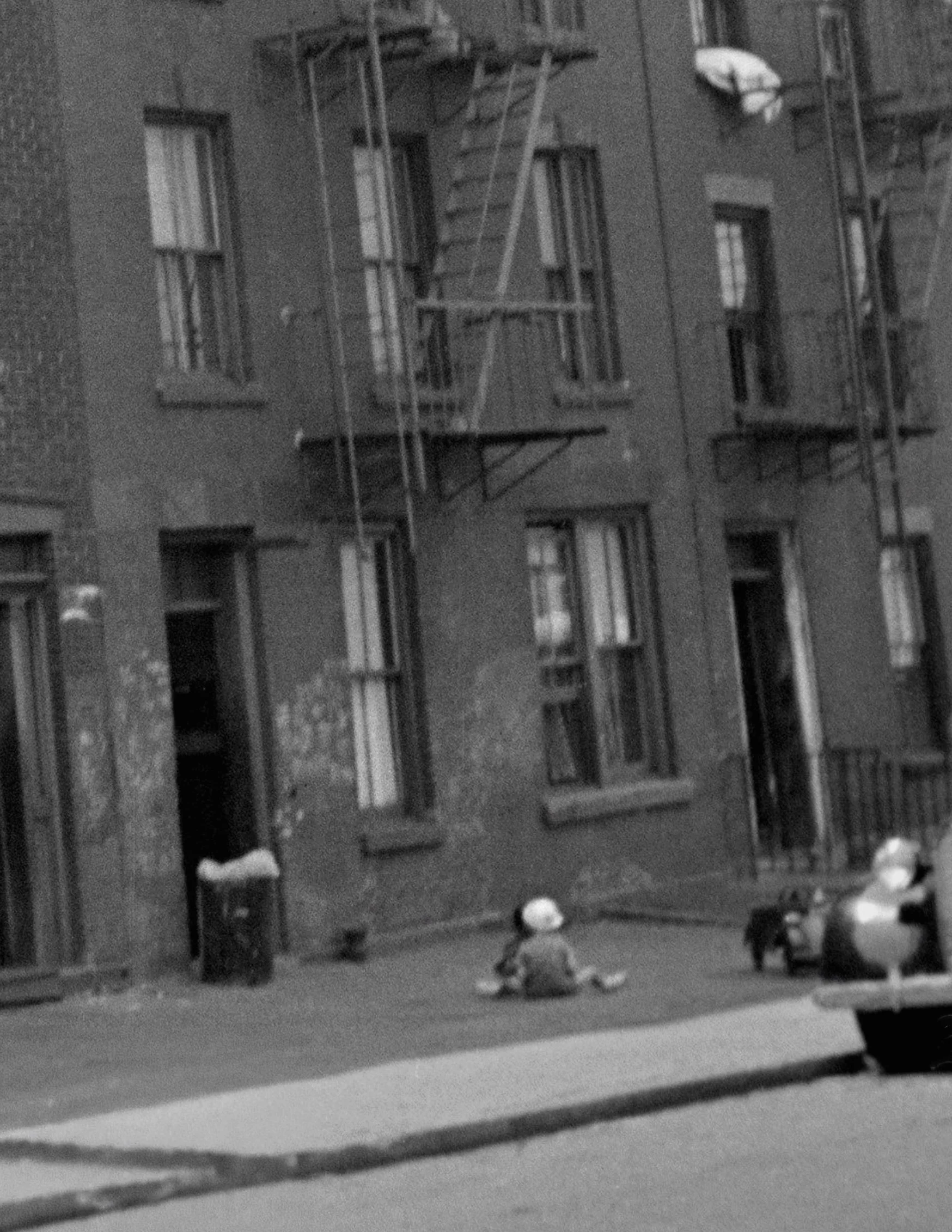 58 Amity Street Brooklyn 08 edit crop.jpg