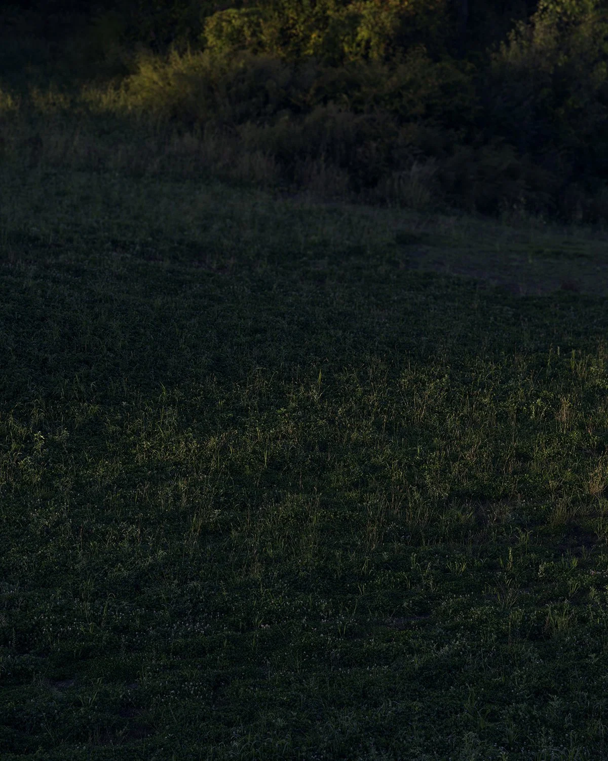 20251004 DSCF6998 1200 x 1500 crop.jpg