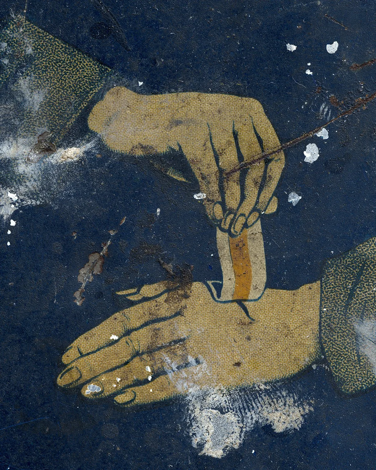 20250922 DSCF6081 1200 x 1500 crop.jpg