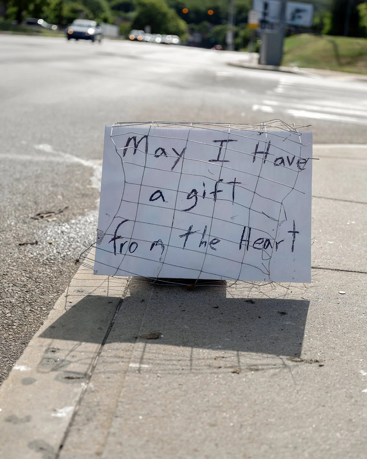 20250718 DSCF3953 1200 x 1500 crop.jpg