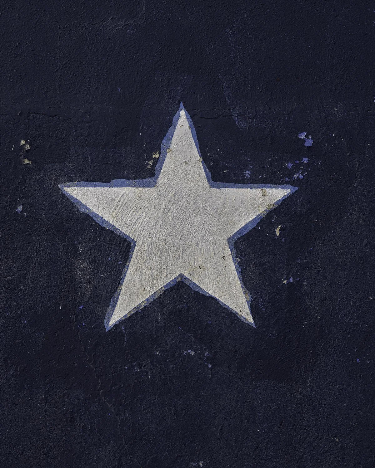 20250606 DSCF2106 1200 x 1500 crop.jpg