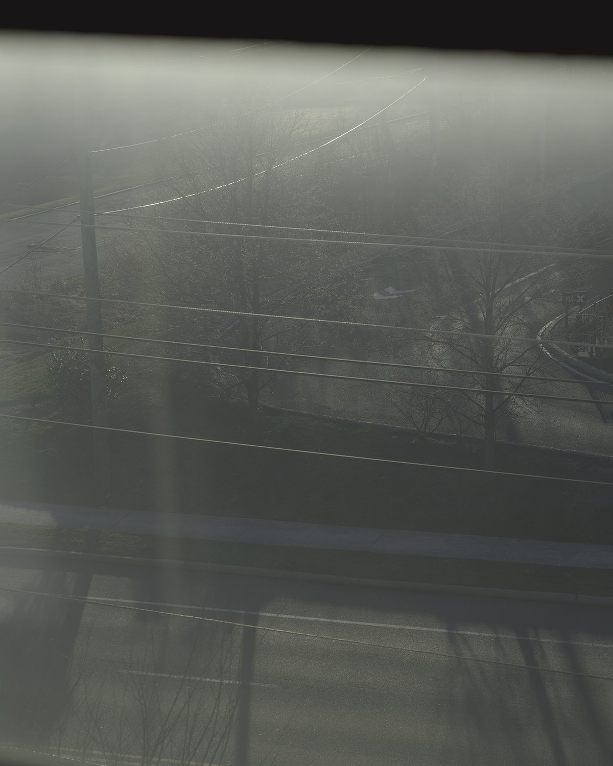 20260314 DSCF4570 1200 x 1500.jpg