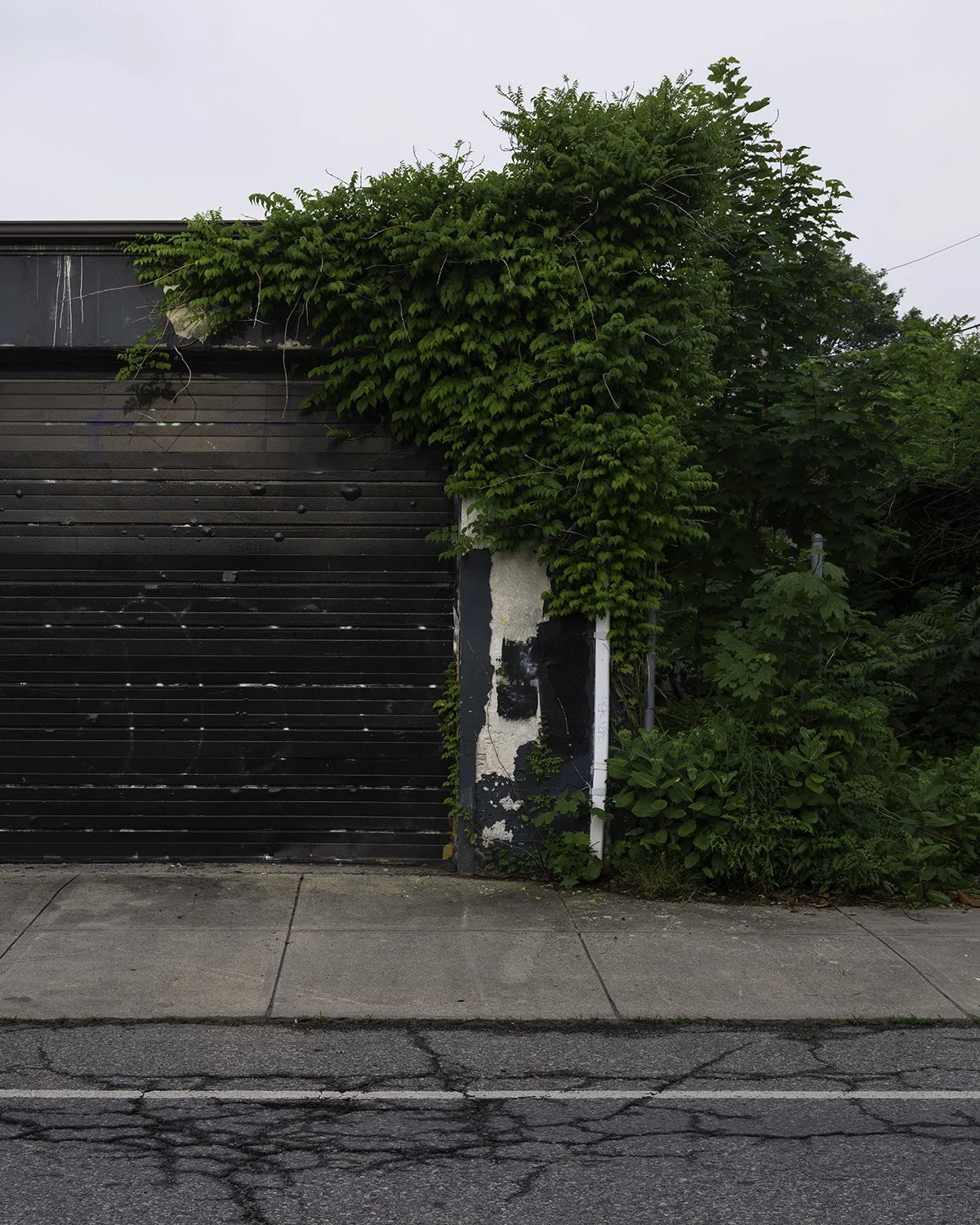 20250608 DSCF2286 1200 x 1500 crop.jpg