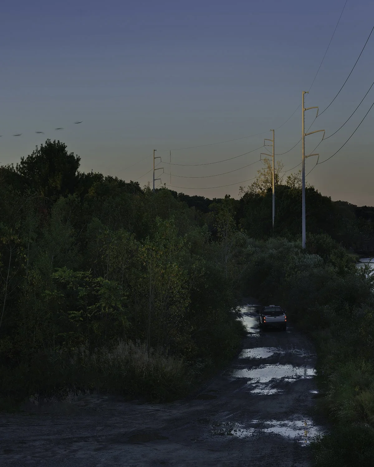 20251009 DSCF7229 1200 x 1500 crop.jpg