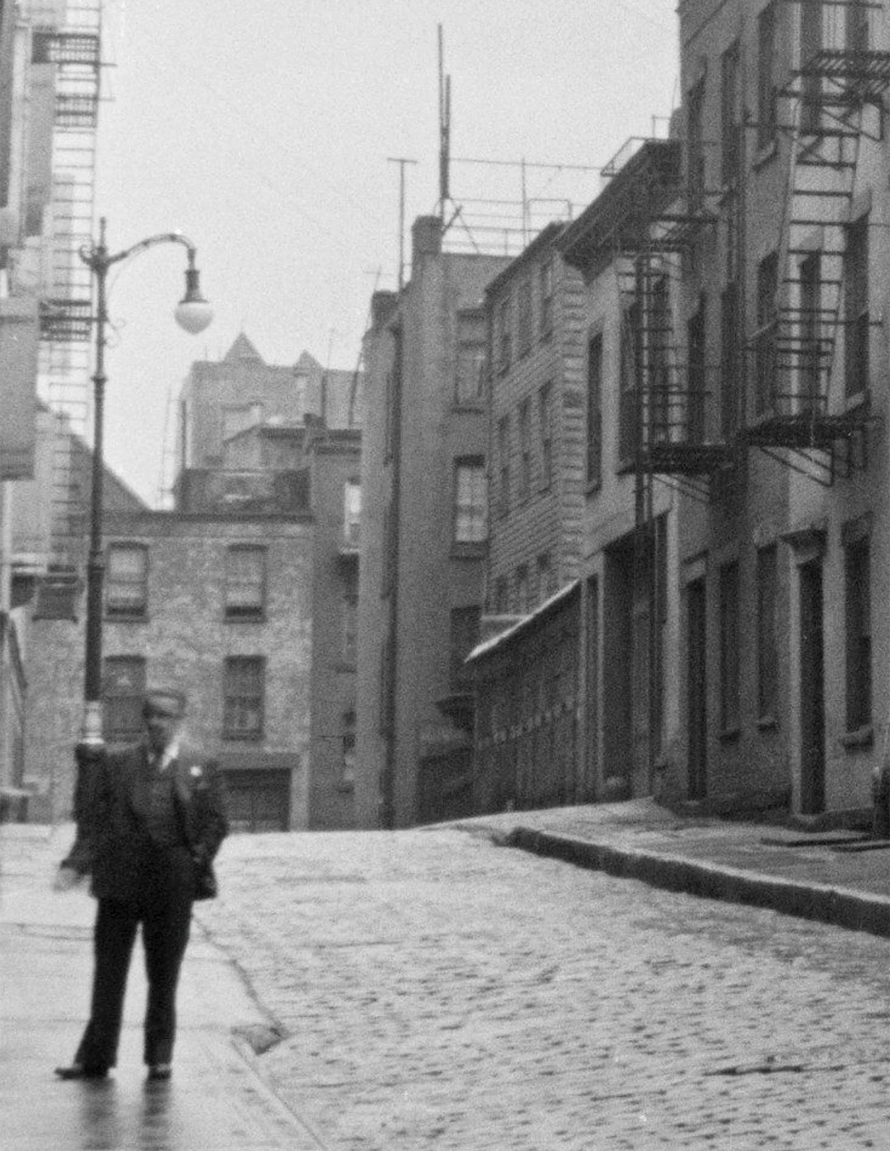 14 Vine Street Brooklyn 02 crop.jpg