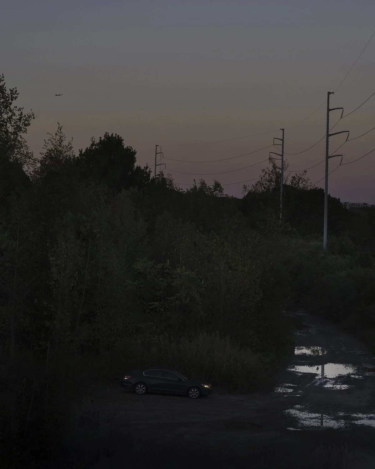 20251009 DSCF7192 1200 x 1500 crop.jpg