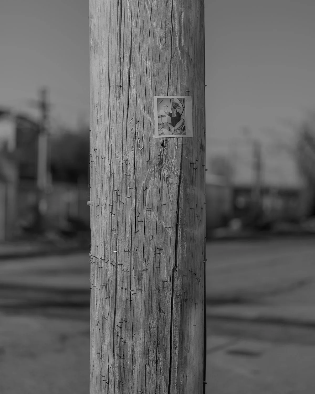 20260310 DSCF4166 bw 1200 x 1500.jpg