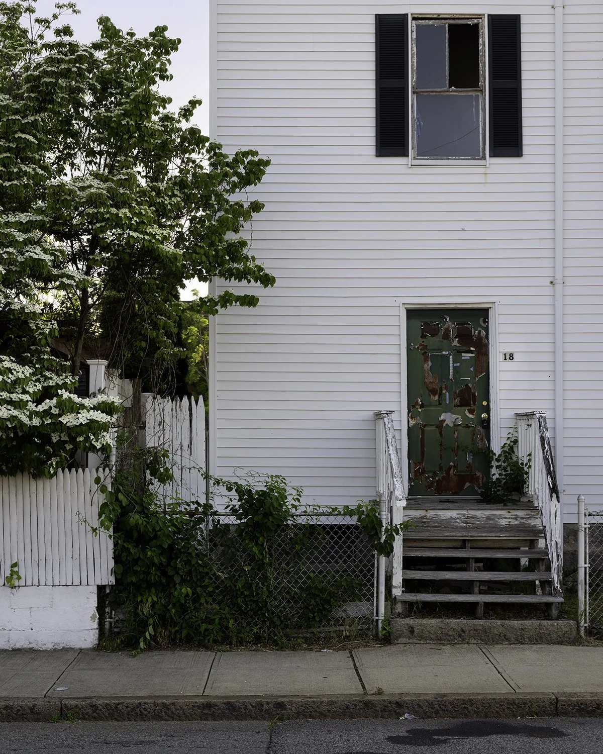 20250605 DSCF1848 1200 x 1500 crop.jpg