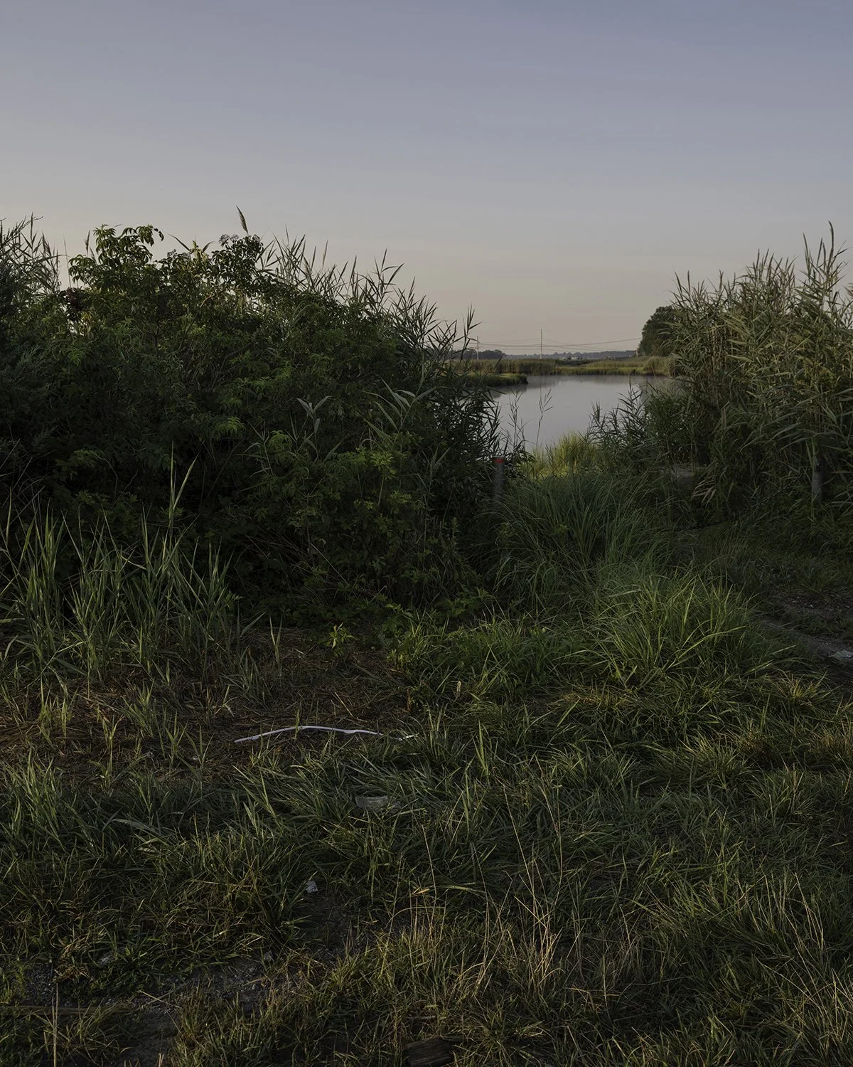 20250803 DSCF5159 1200 x 1500 crop.jpg