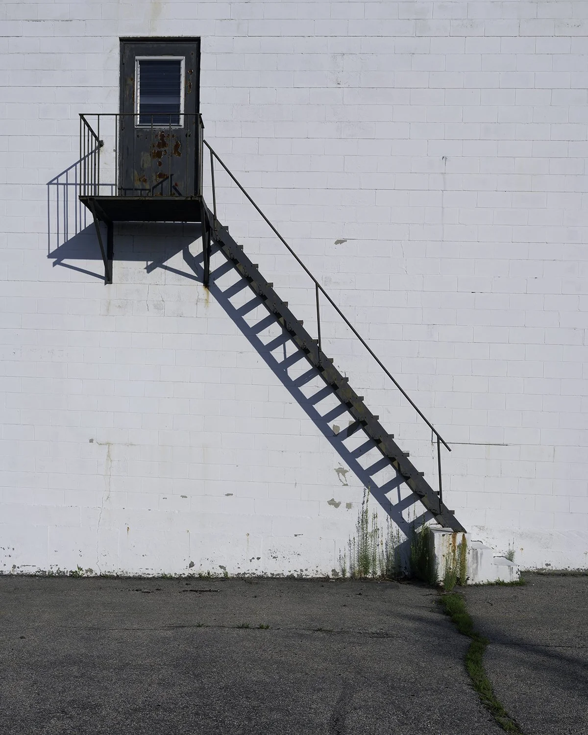 20250703 DSCF3178 1200 x 1500 crop.jpg