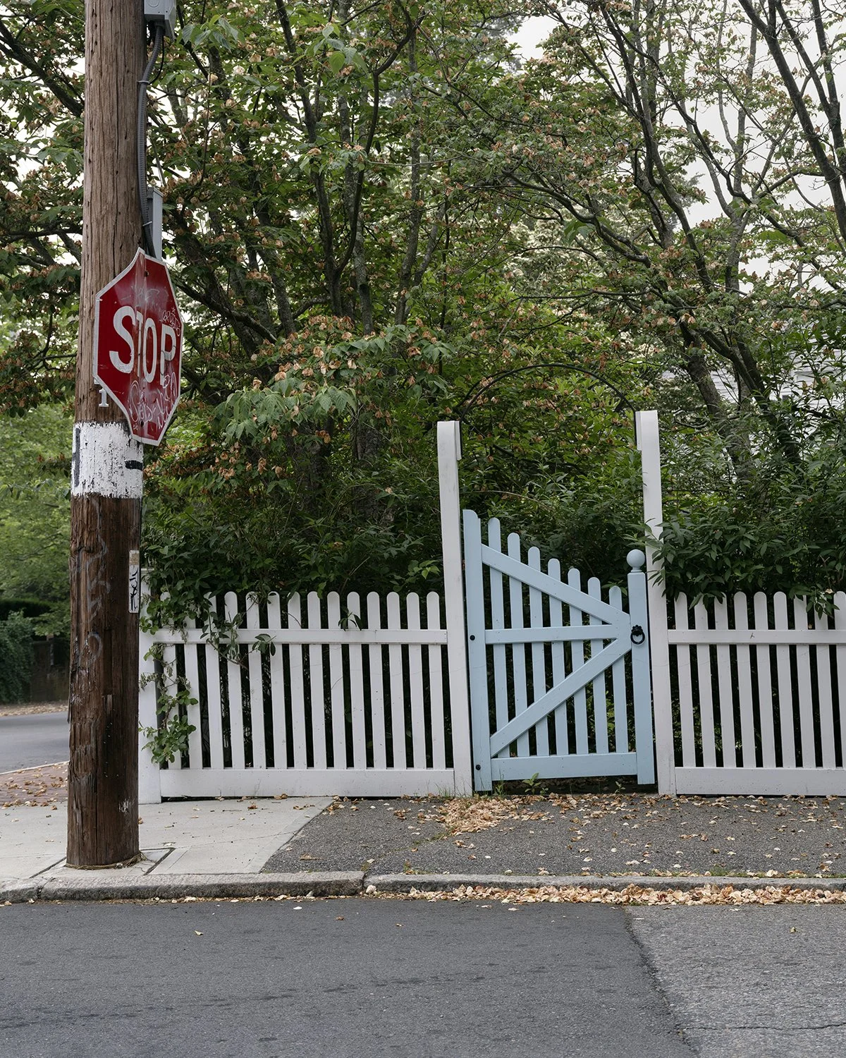 20250607 DSCF2120 1200 x 1500 crop.jpg