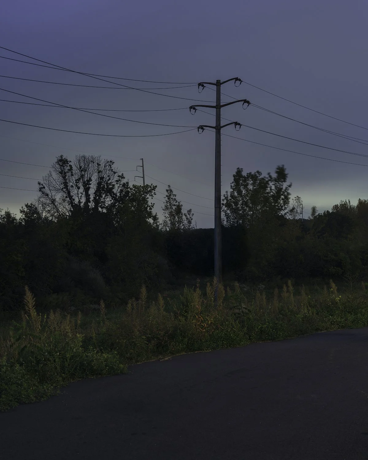 20251007 DSCF7147-Edit 1200 x 1500 crop.jpg