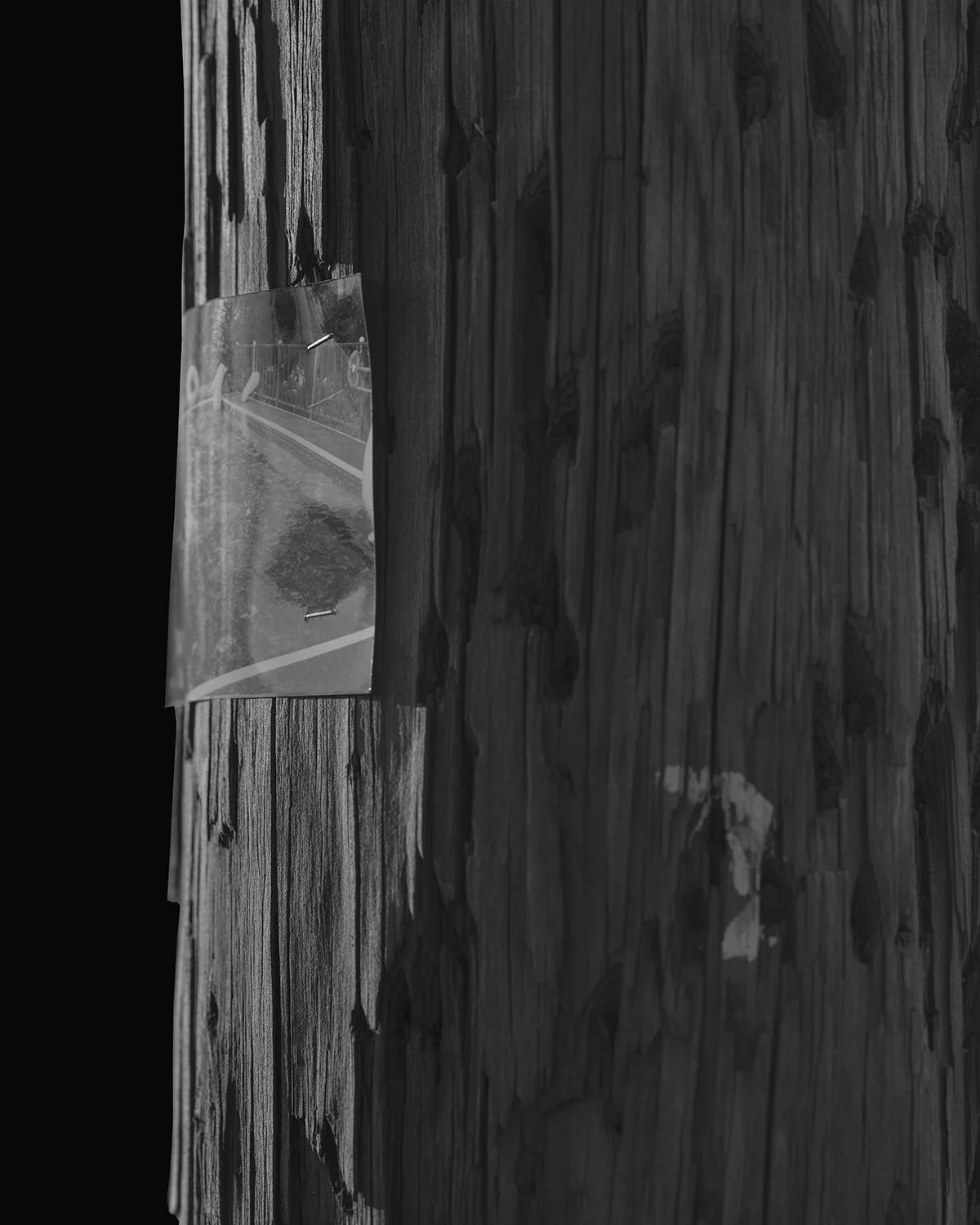 20260310 DSCF4100 1200 x 1500.jpg