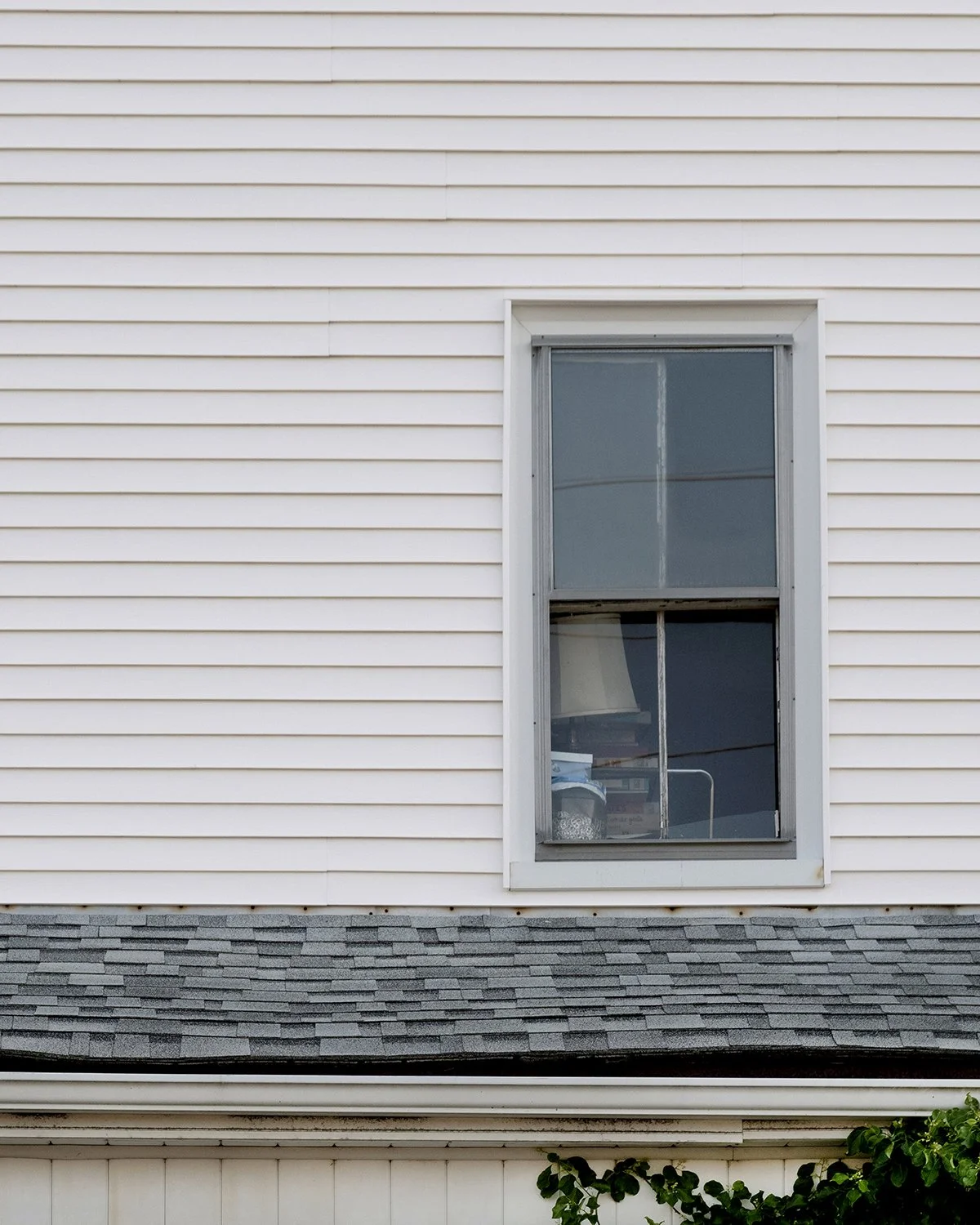 20250605 DSCF1838 1200 x 1500 crop.jpg