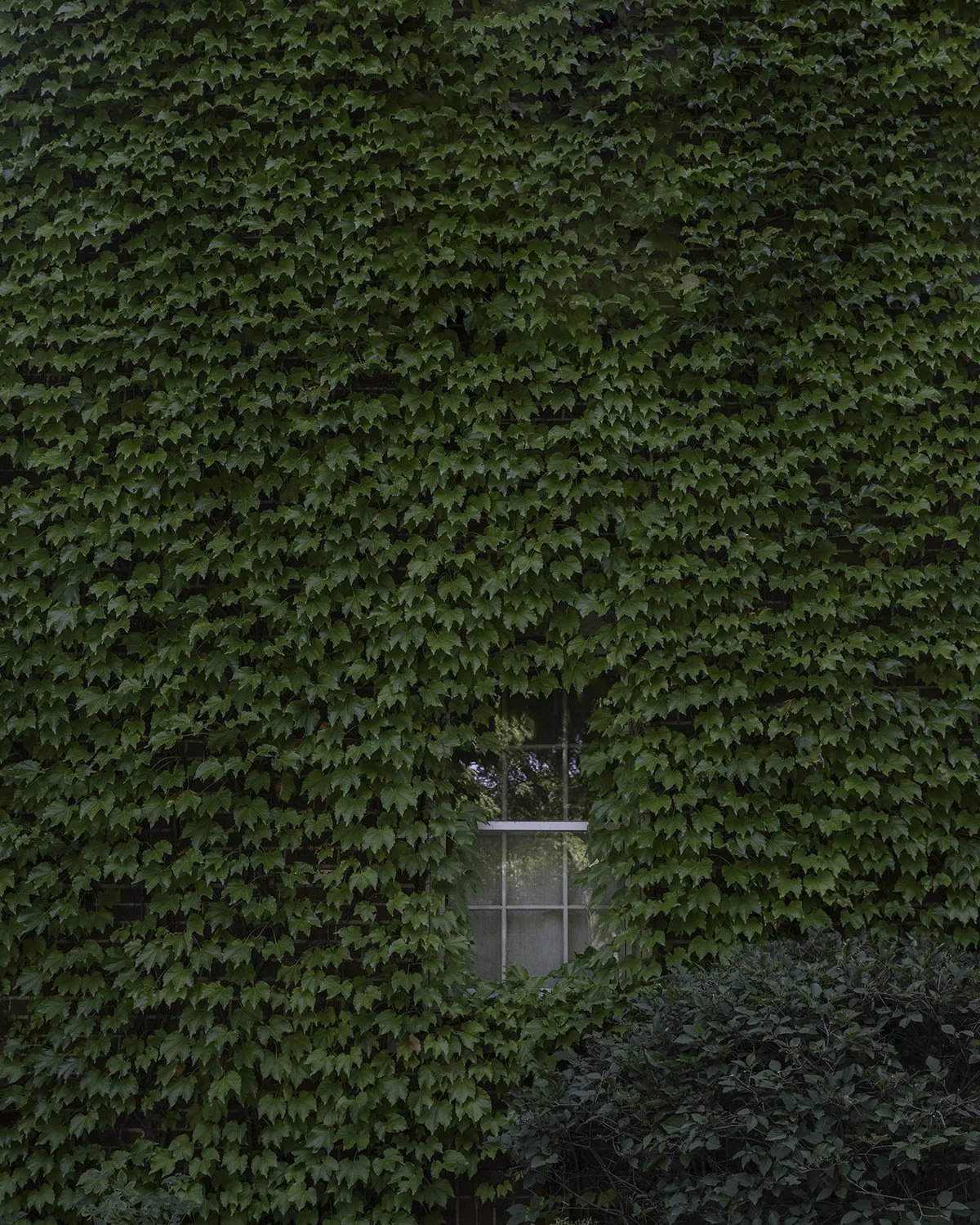 20250802 DSCF5037 1200 x 1500 crop.jpg