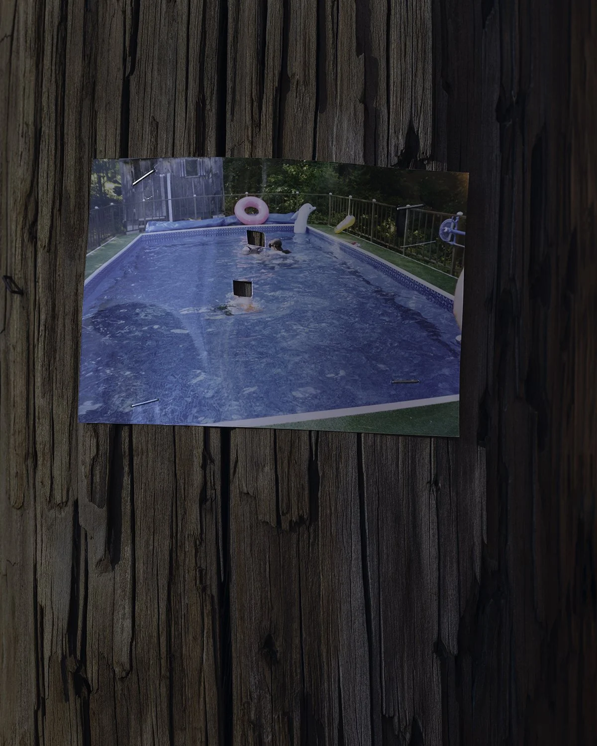 20260310 DSCF4073 1200 x 1500.jpg