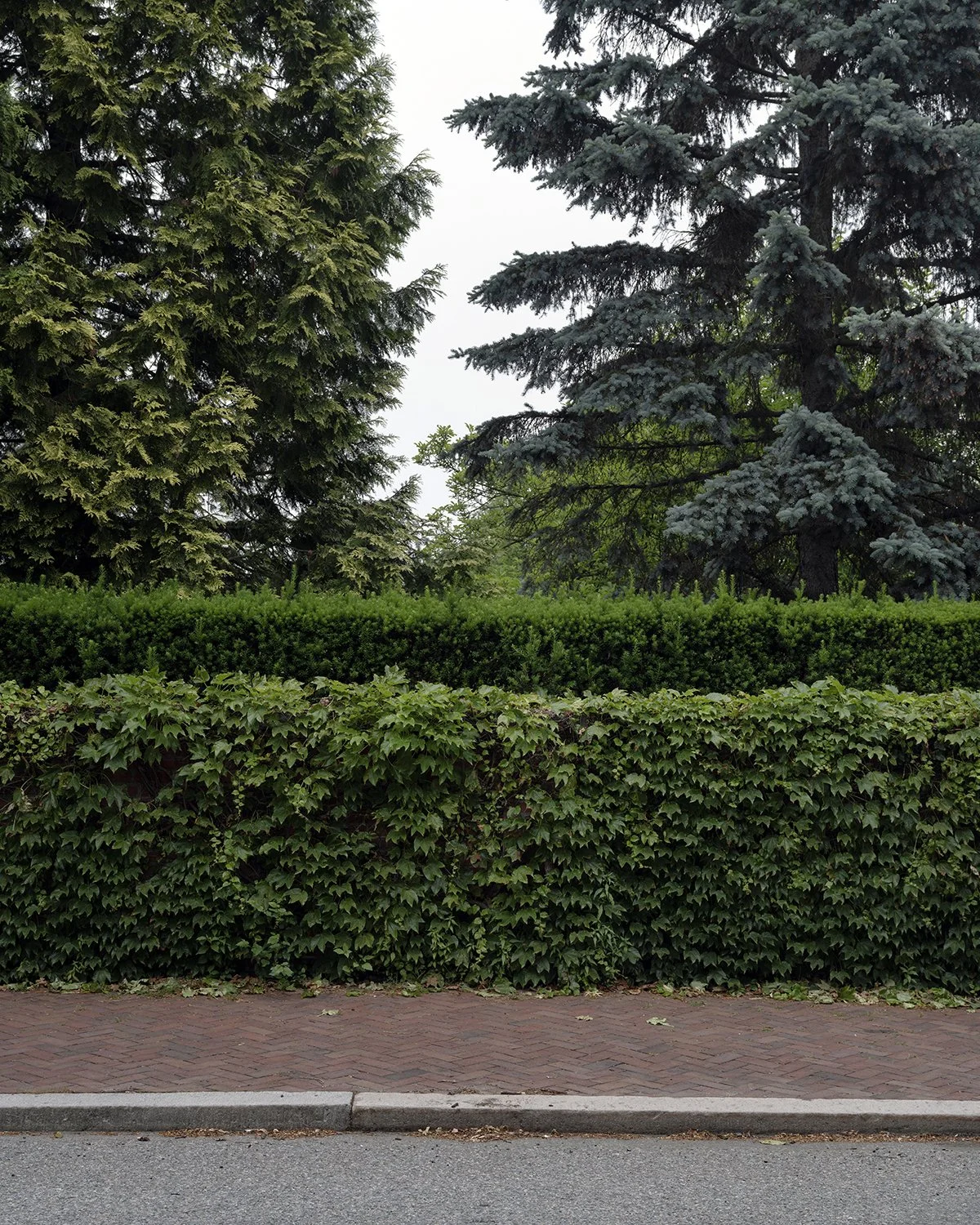 20250607 DSCF2184 1200 x 1500 crop.jpg