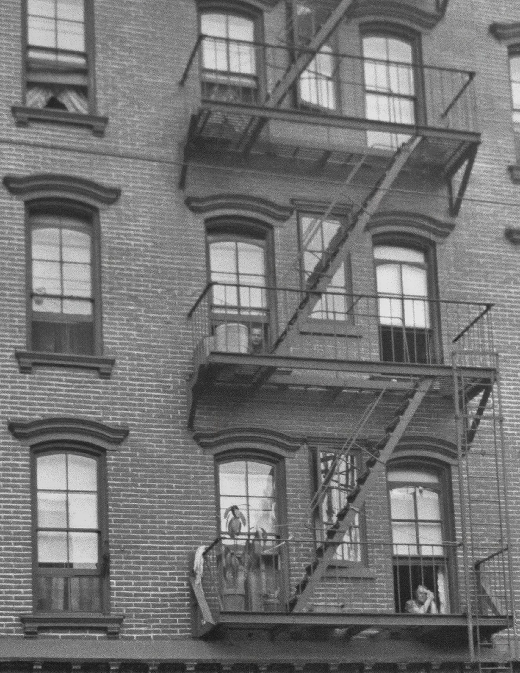 191 Bedford Avenue Brooklyn 01 crop5.jpg