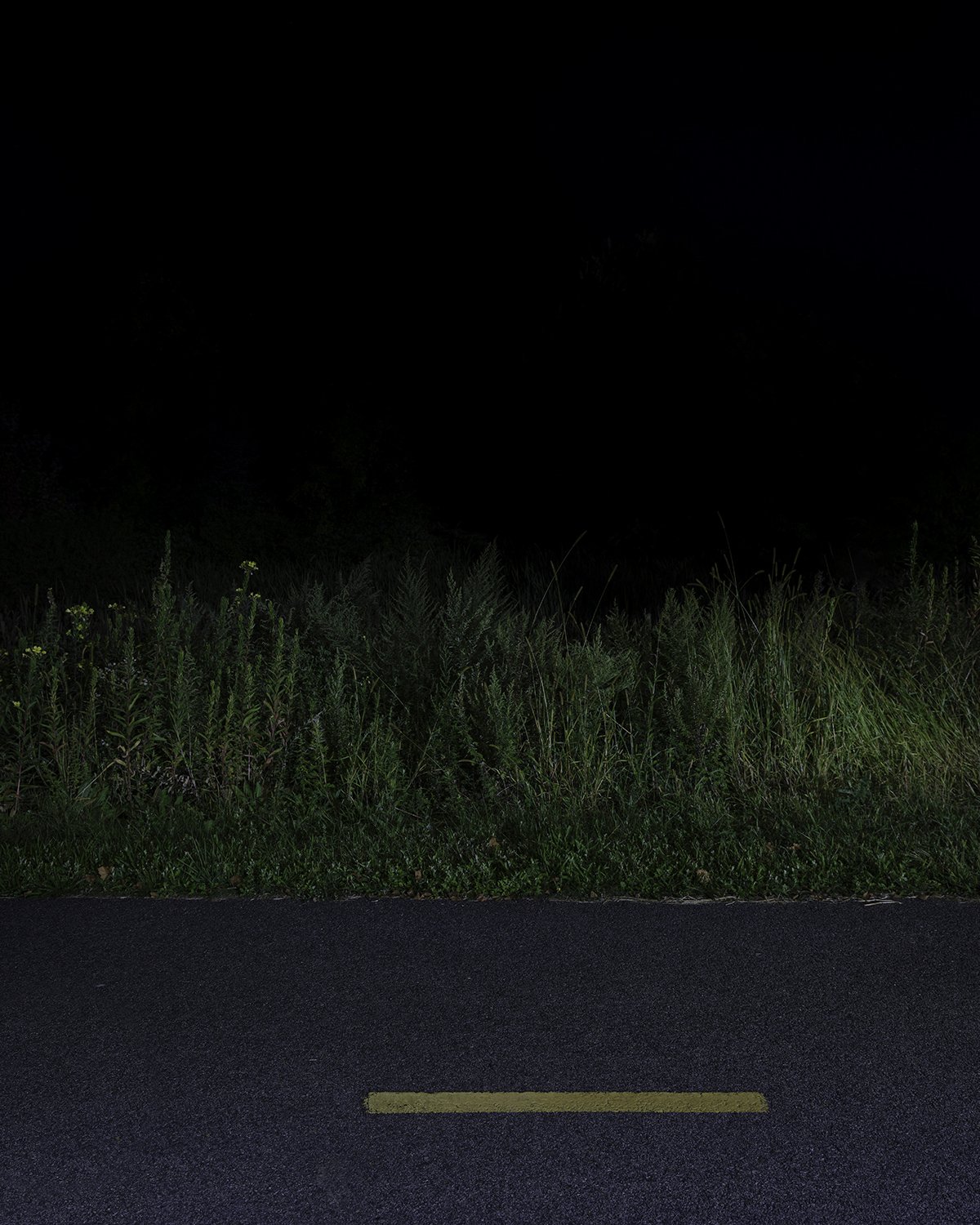 20250916 DSCF6013 1200 x 1500 crop.jpg