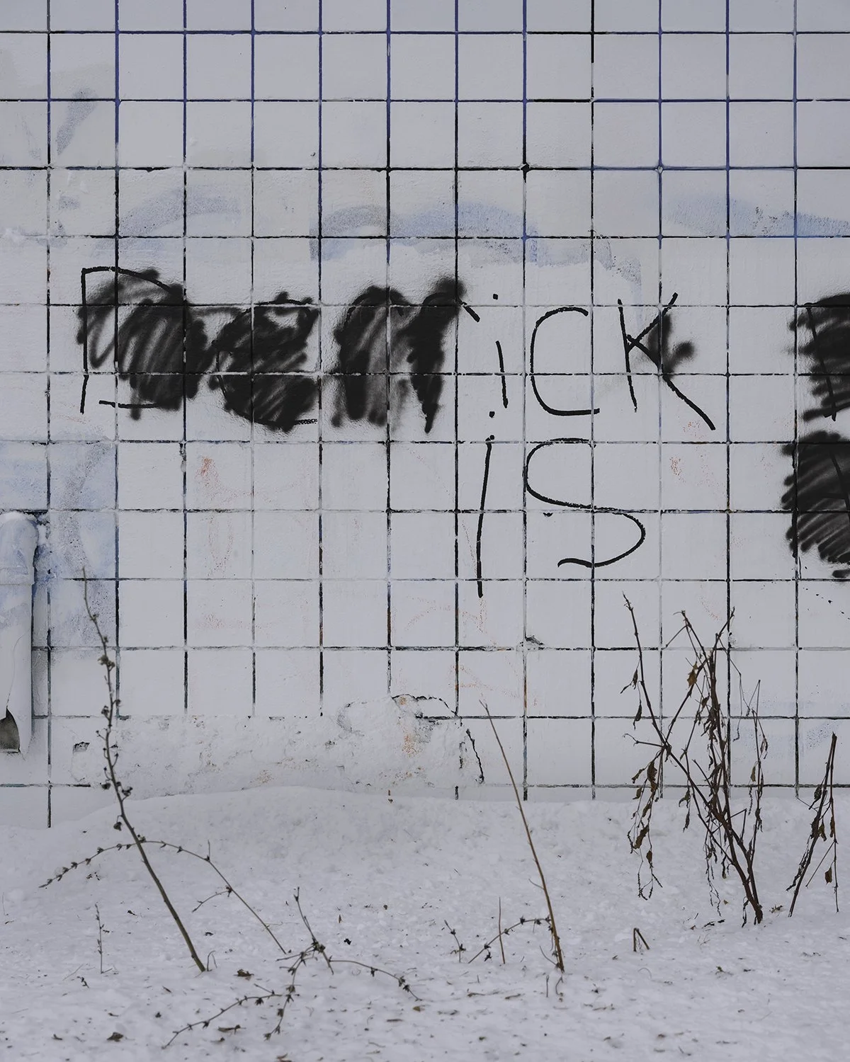 20260128 DSCF3048 1200 x 1500.jpg