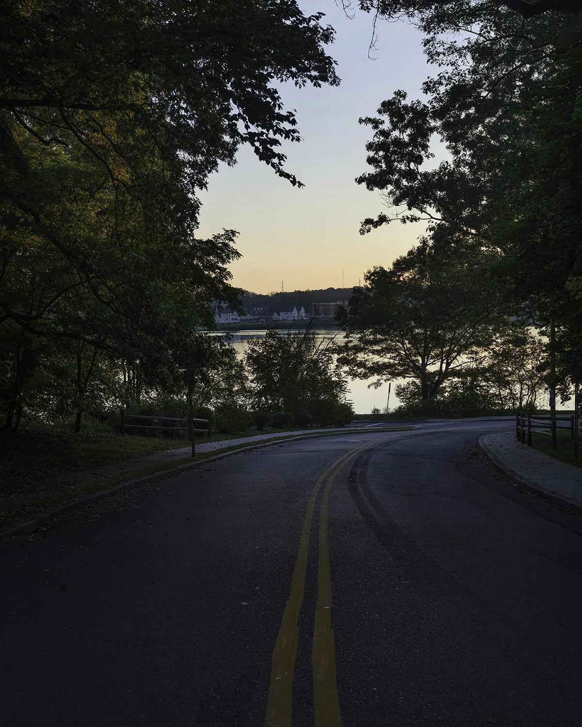 20250927 DSCF6129 1200 x 1500 crop.jpg