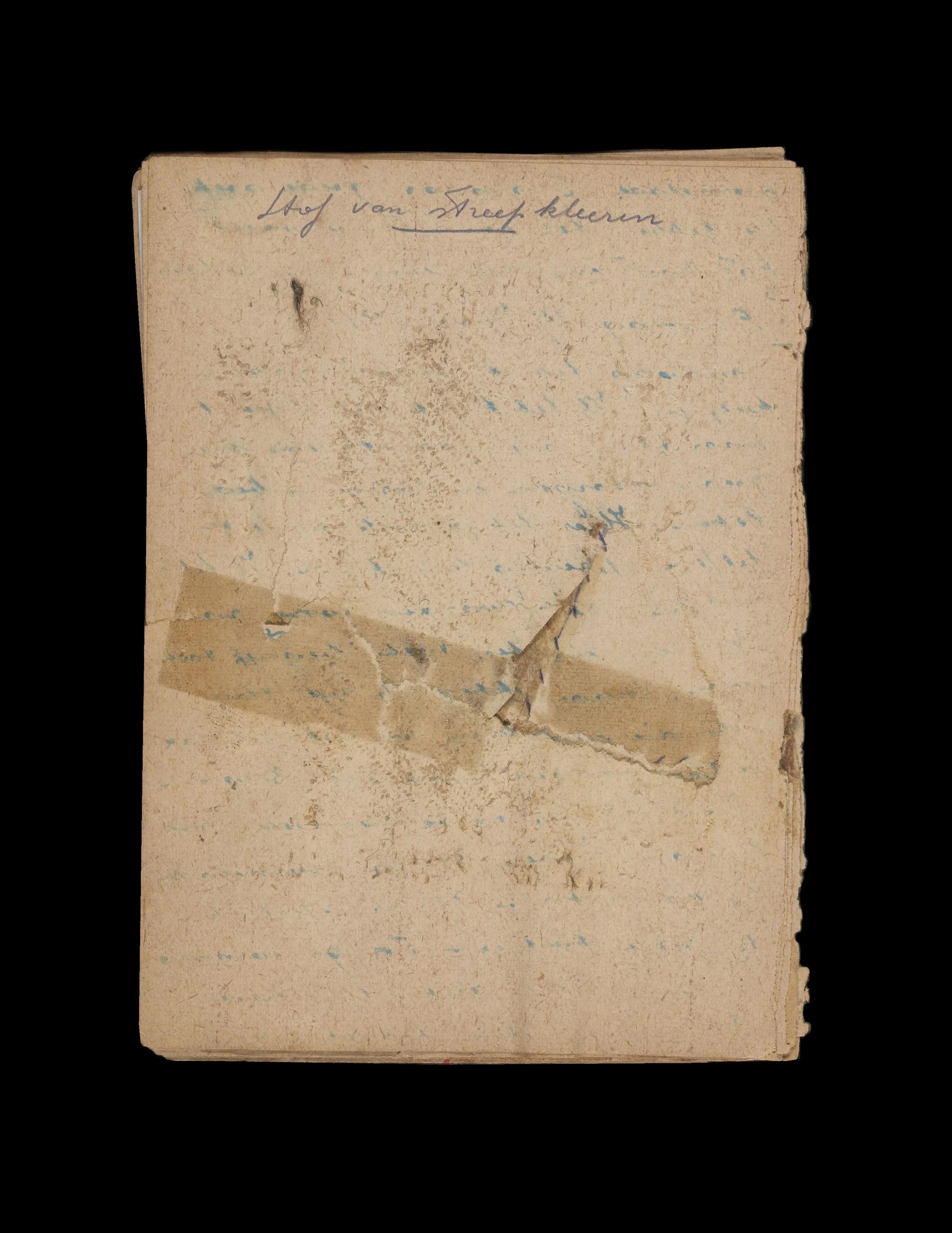 Diary Of Roger Francois