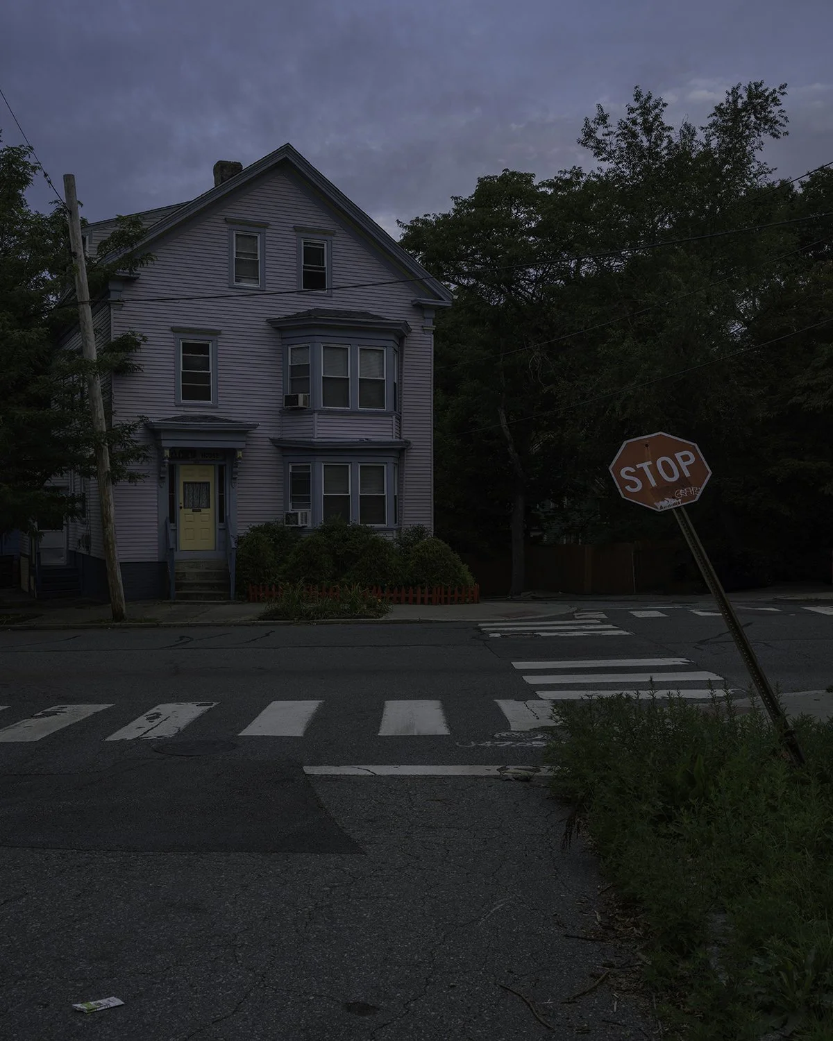 20250807 DSCF5691 1200 x 1500 crop.jpg