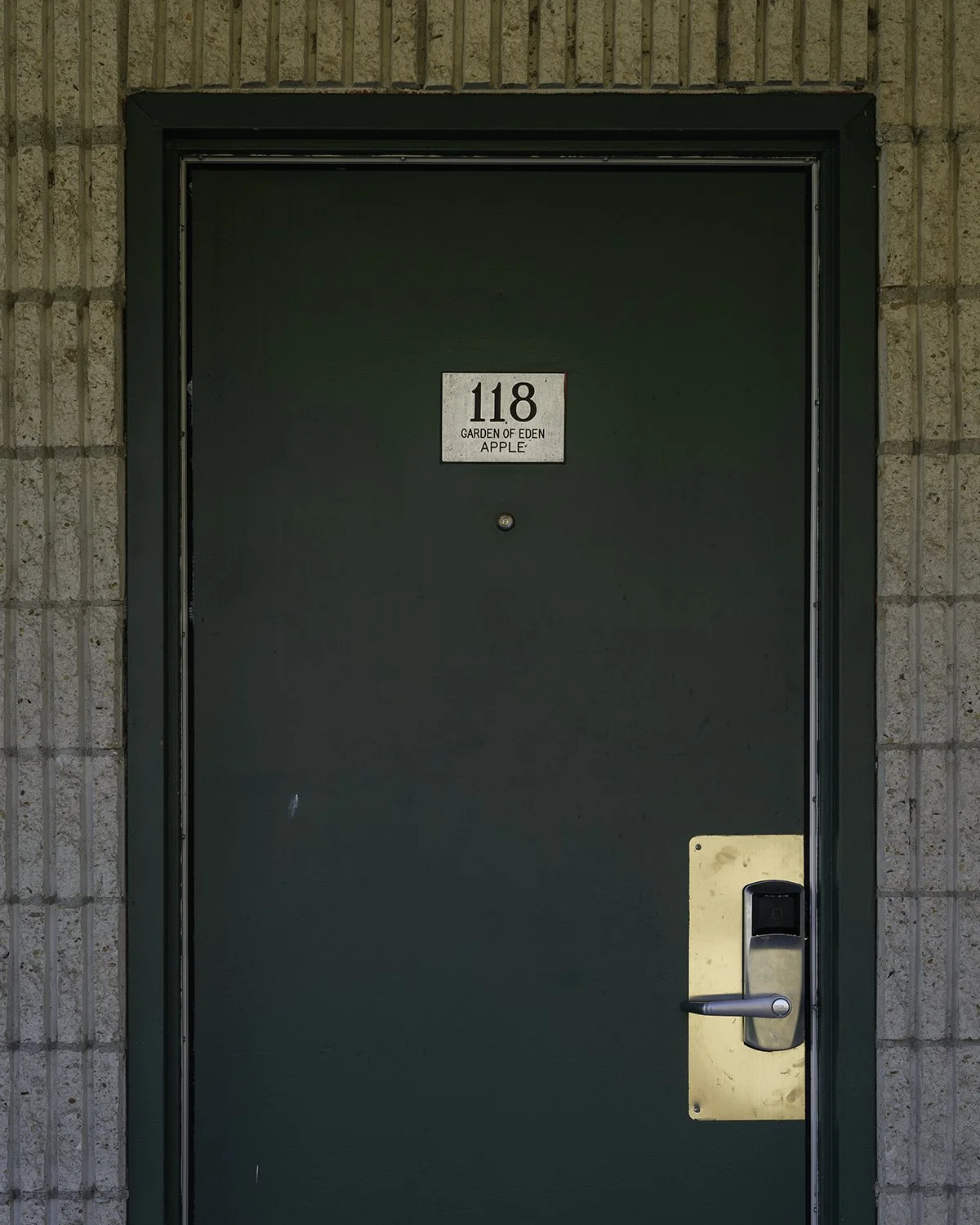 20251119 DSCF1977 close crop 1200 X 1500.jpg