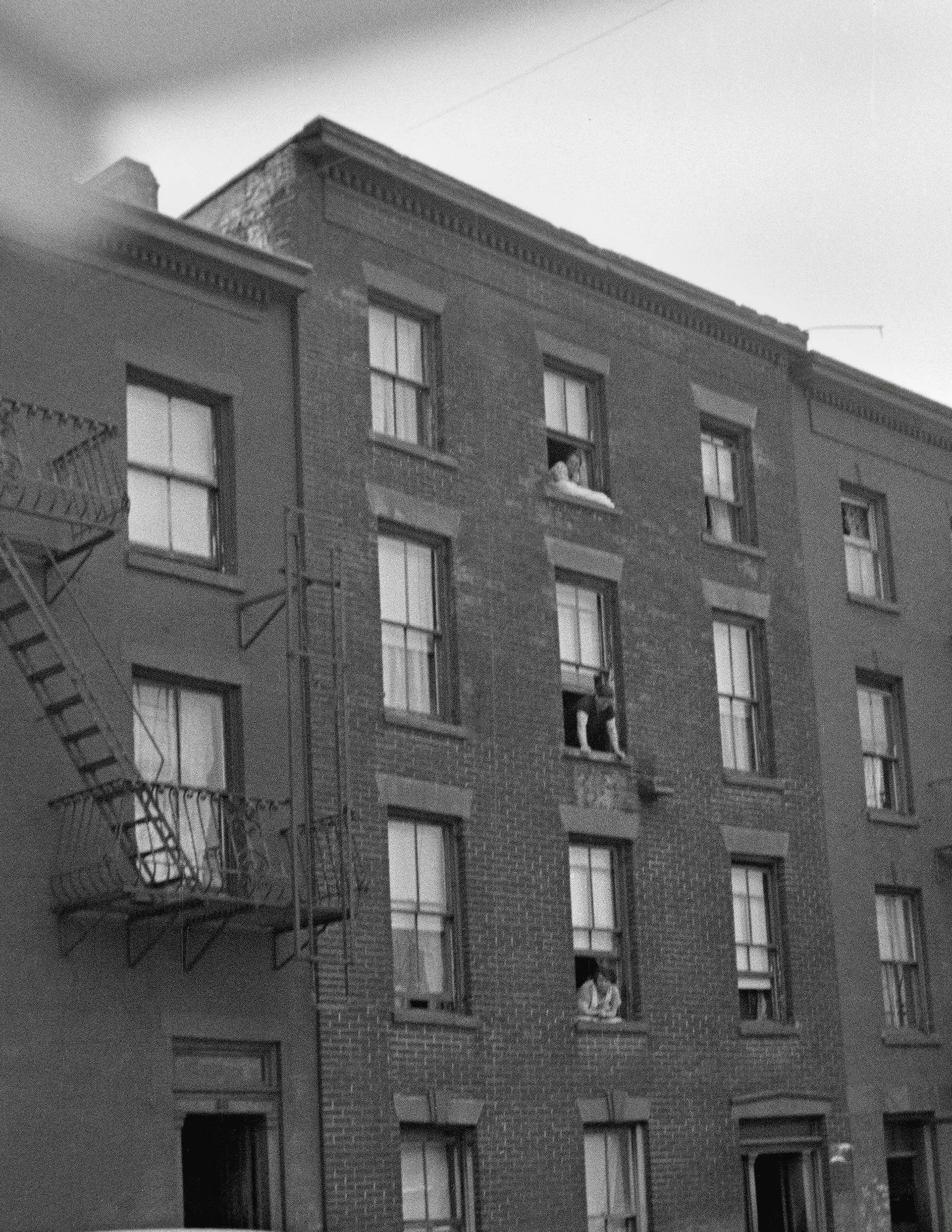 58 Amity Street Brooklyn 01 edit tight crop.jpg