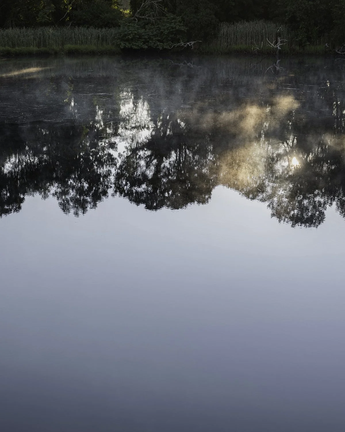 20250803 DSCF5188 1200 x 1500 crop.jpg