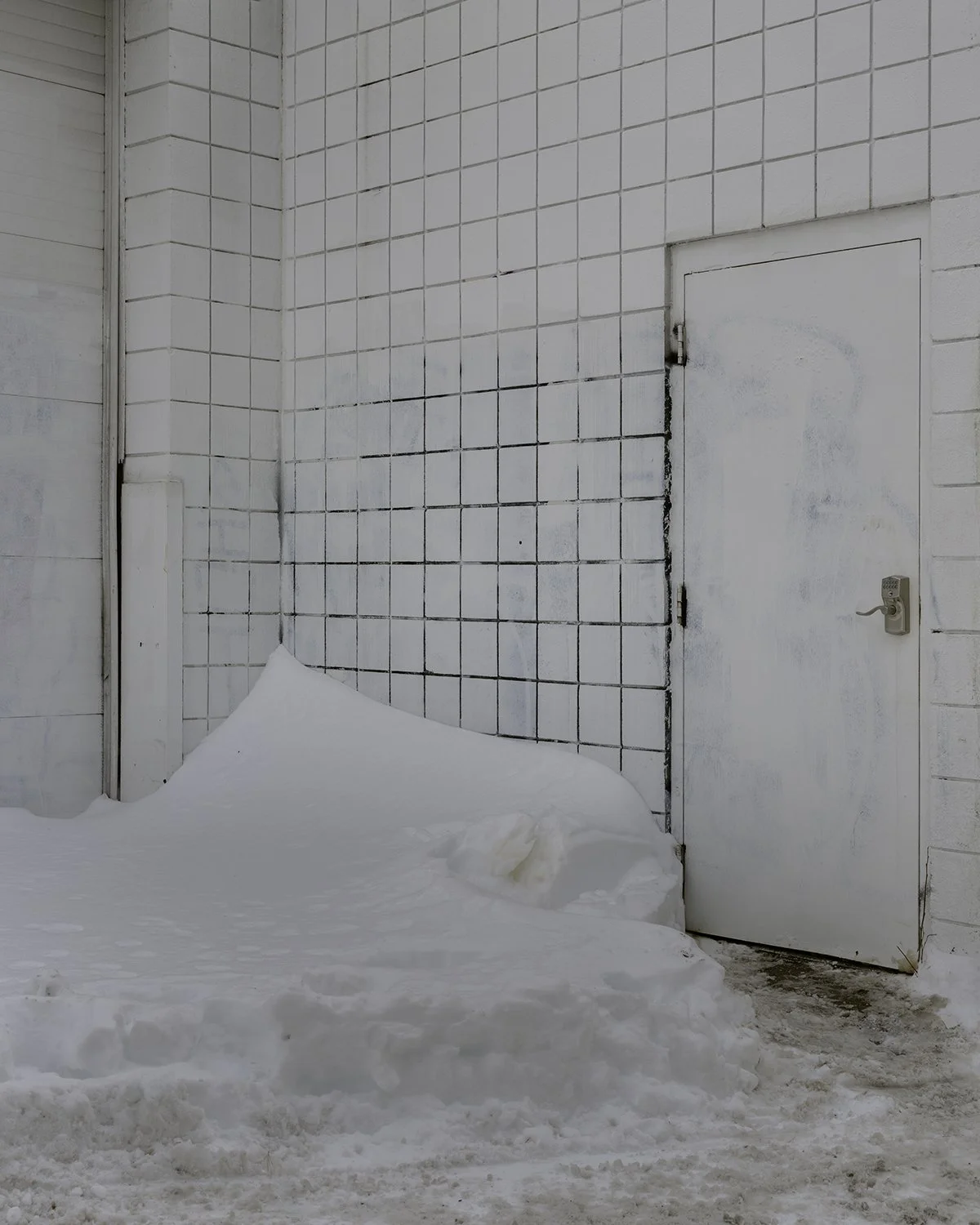 20260128 DSCF3080 1200 x 1500.jpg