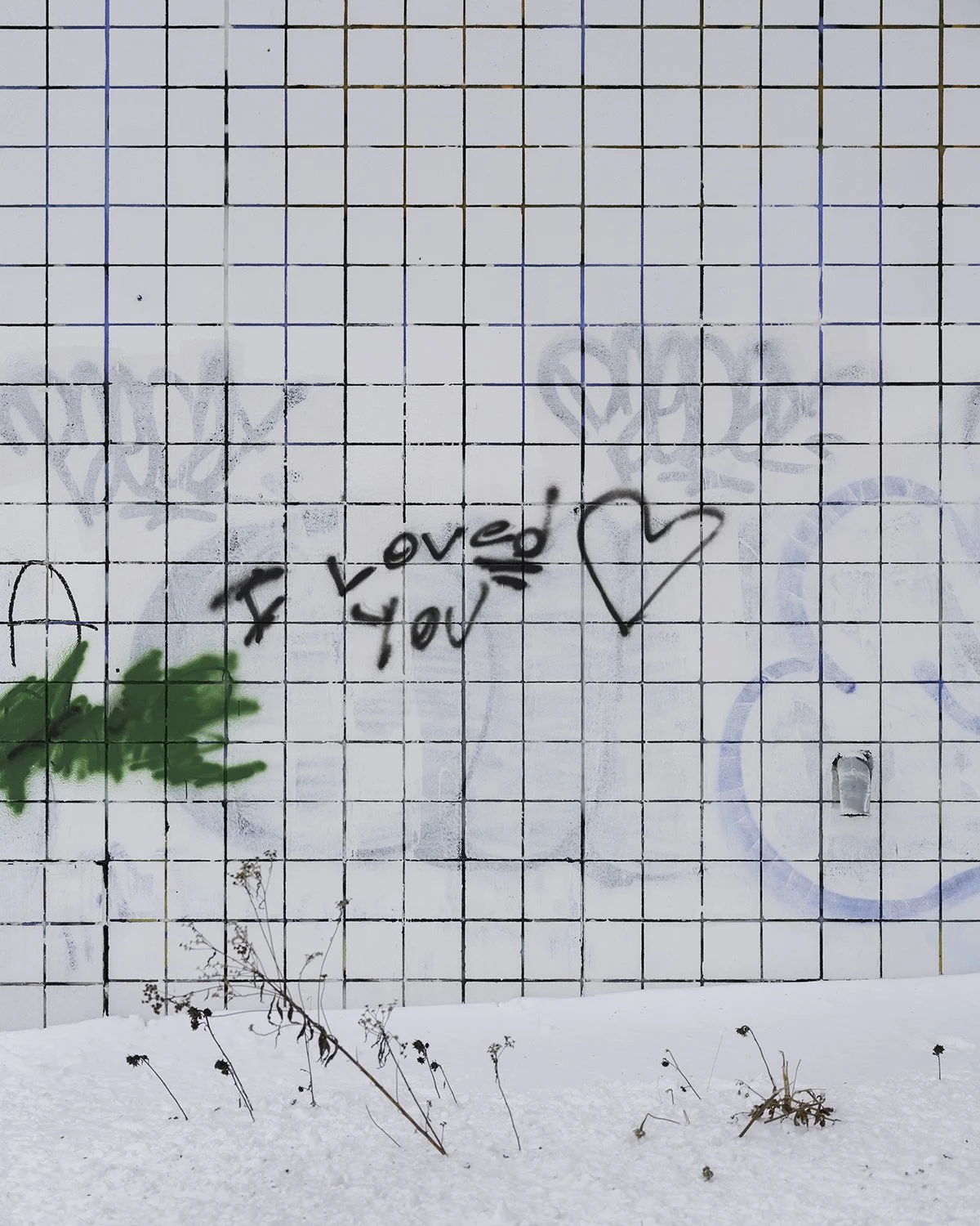 20260128 DSCF3021 1200 x 1500.jpg