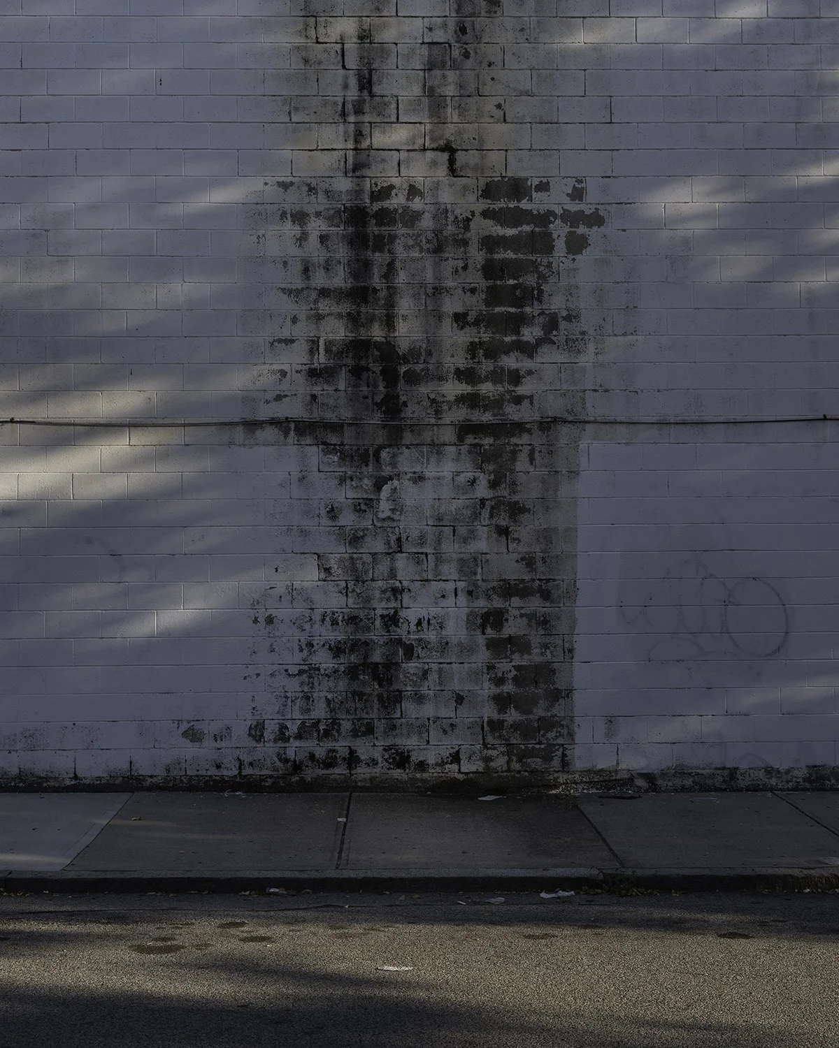 20250802 DSCF4952 1200 x 1500 crop.jpg