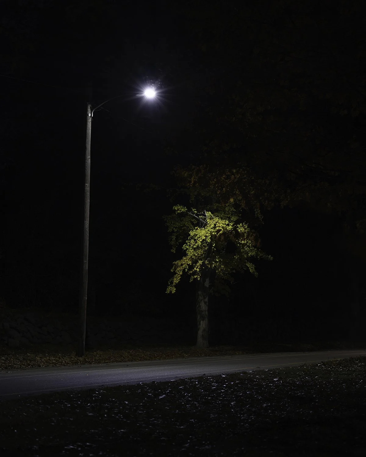 20251106 DSCF1214 1200 x 1500.jpg