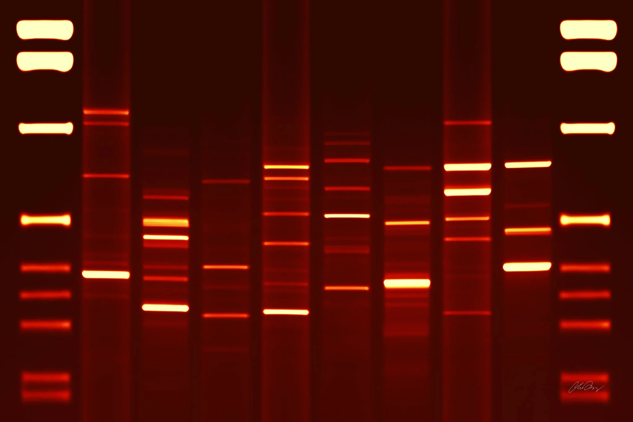 A year in review of personal data, should be, well, personal.