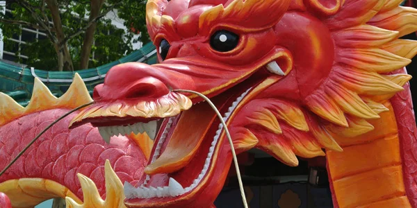 Ten Essentials for Lunar New Year