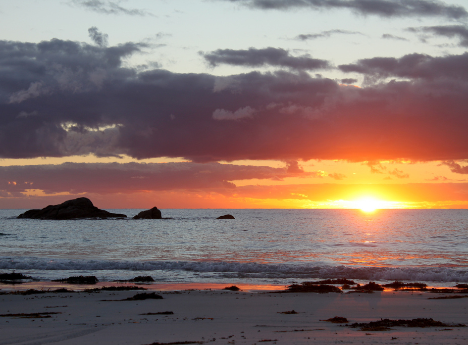 Meet the presenter: Maggie Walter, Indigenous Studies