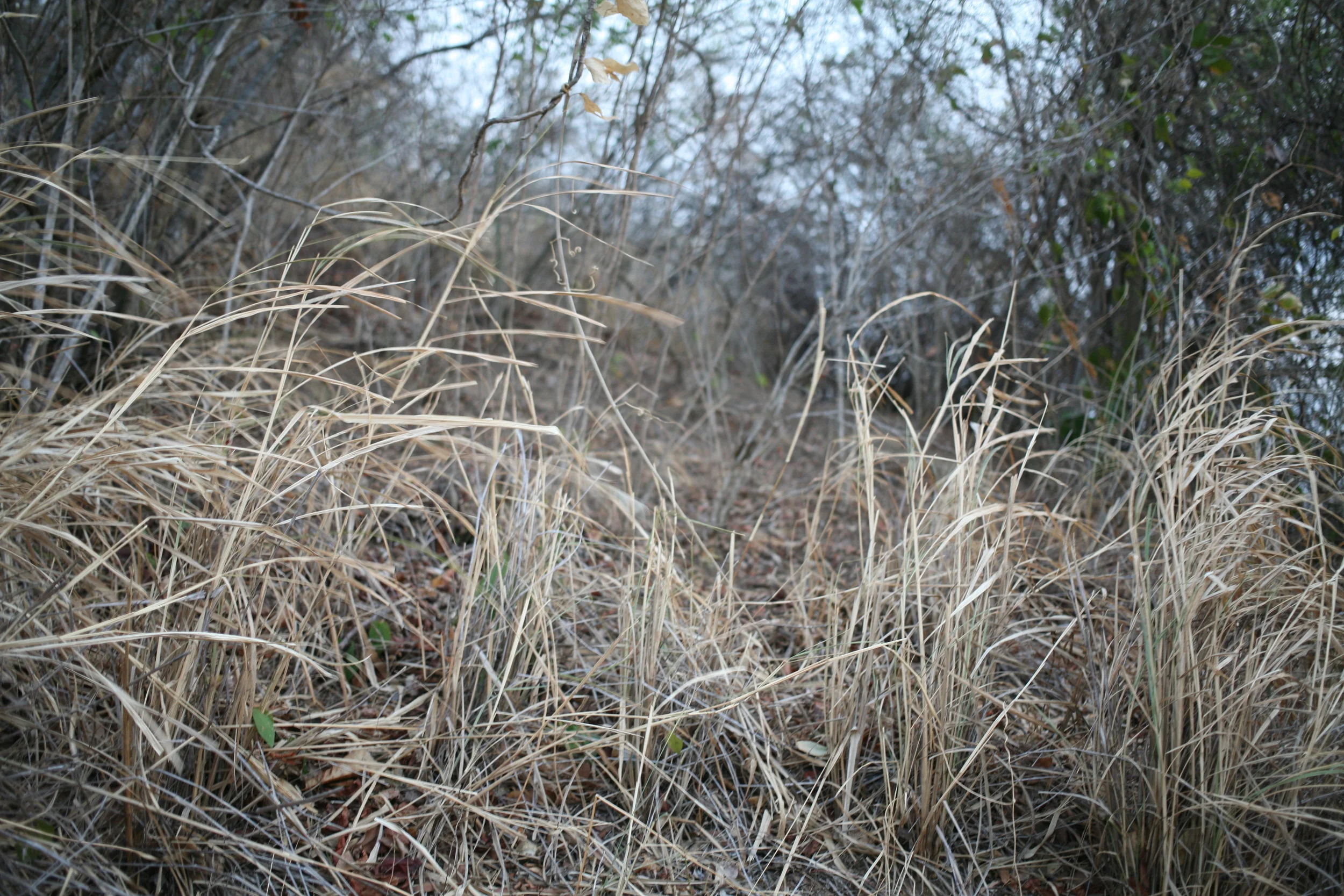 Bonda I, Magdalena, Colombia.