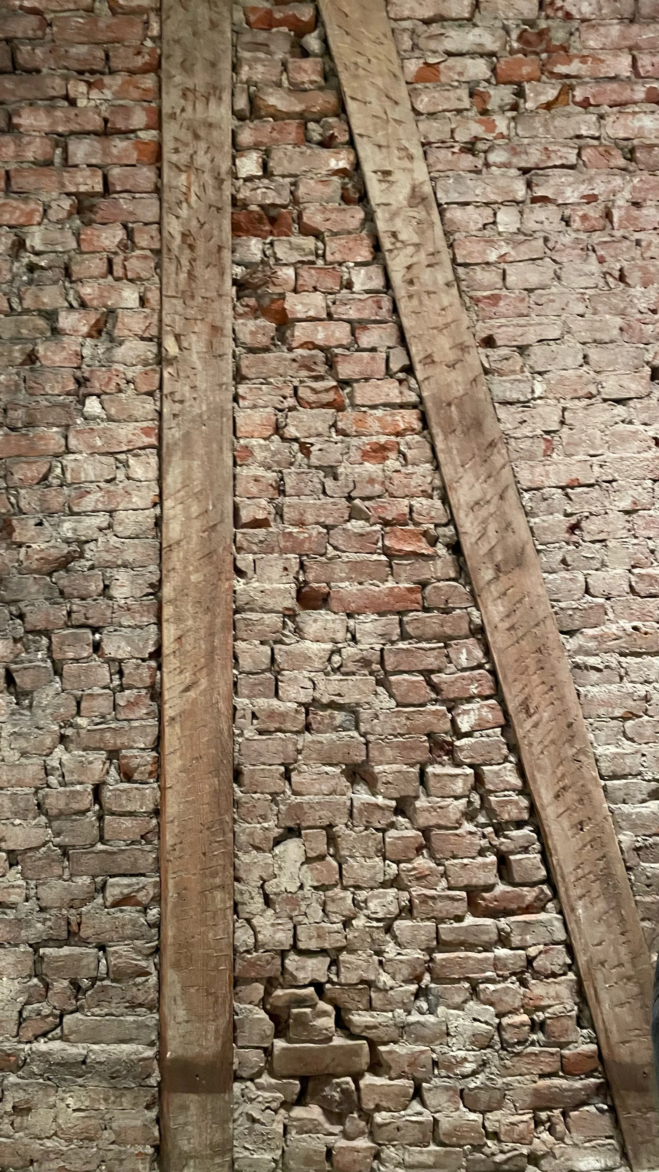 Image-50.jpg