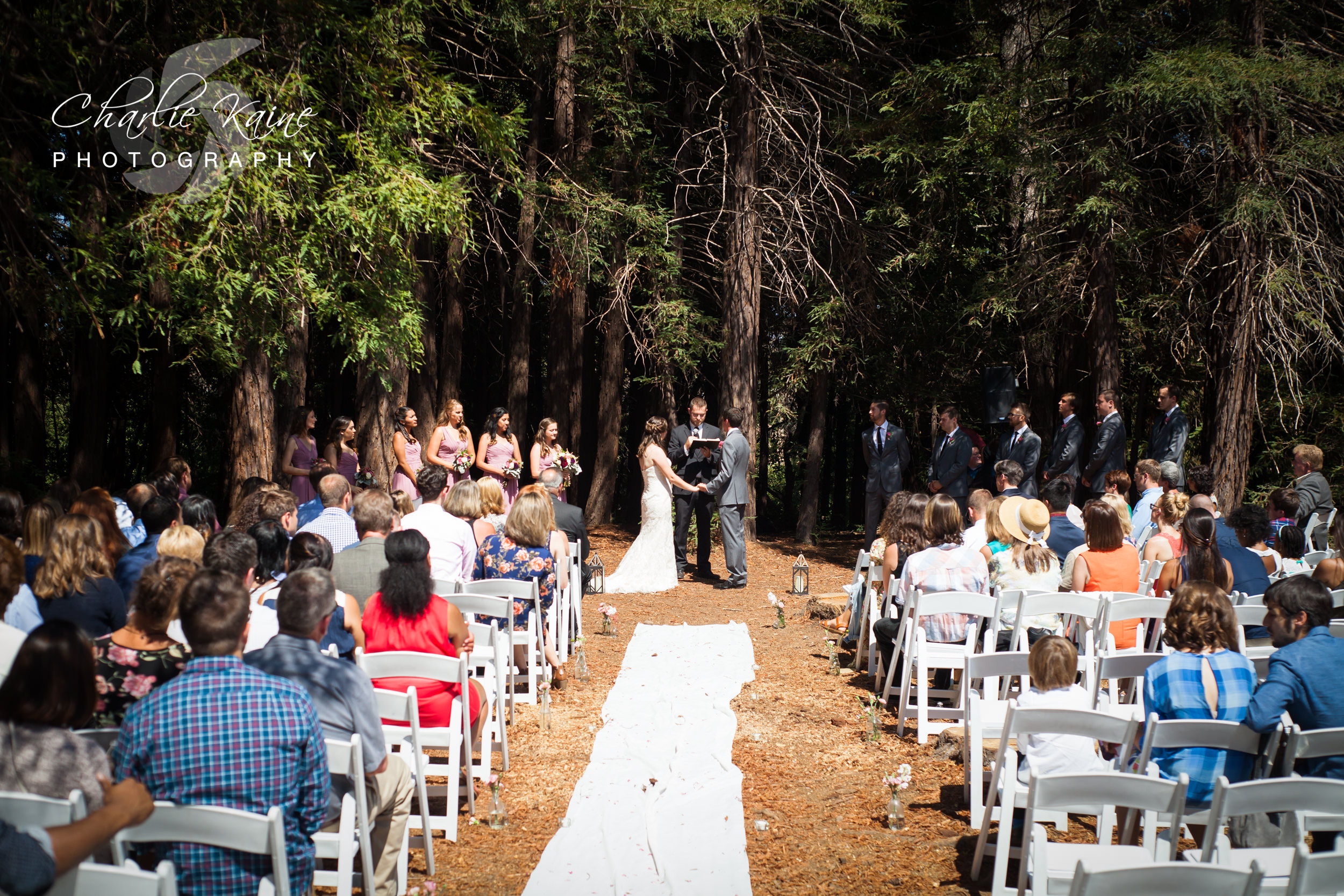 Charlie Kaine Photographer | San Francisco Wedding Photographer