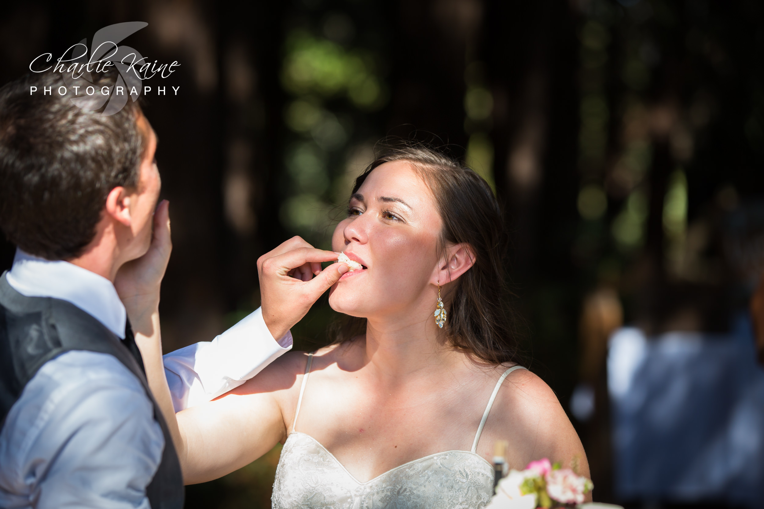 Charlie Kaine Photographer | San Francisco Wedding Photographer