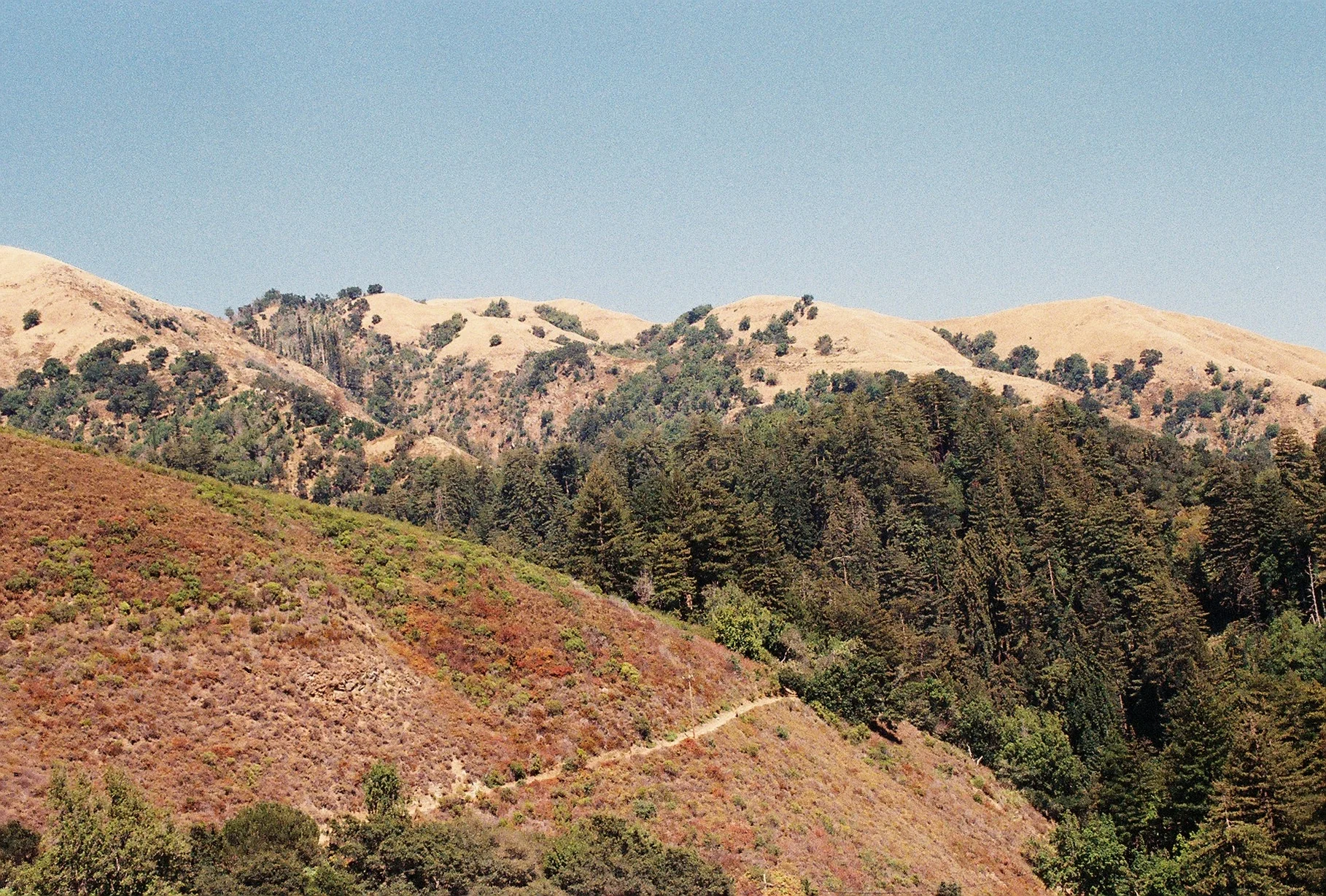 79276C6-R01-018.Jpg