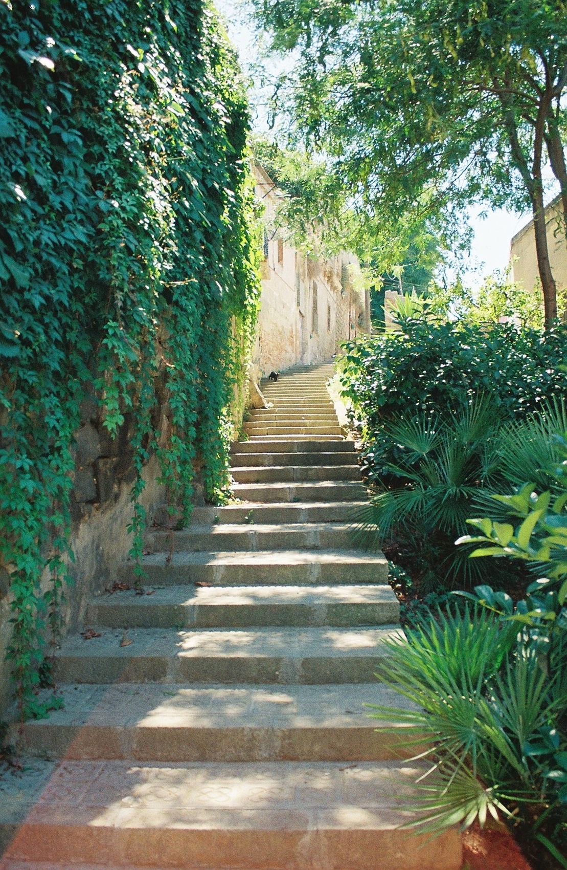 83970R2-R01-012A 2.Jpg