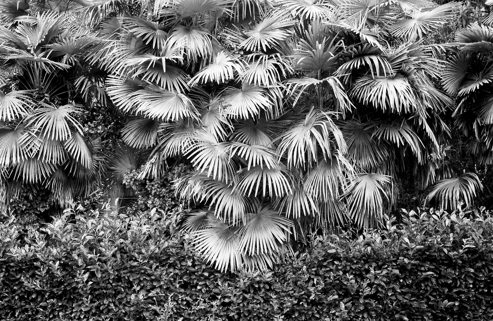 00447R2-R01-005 2.Jpg