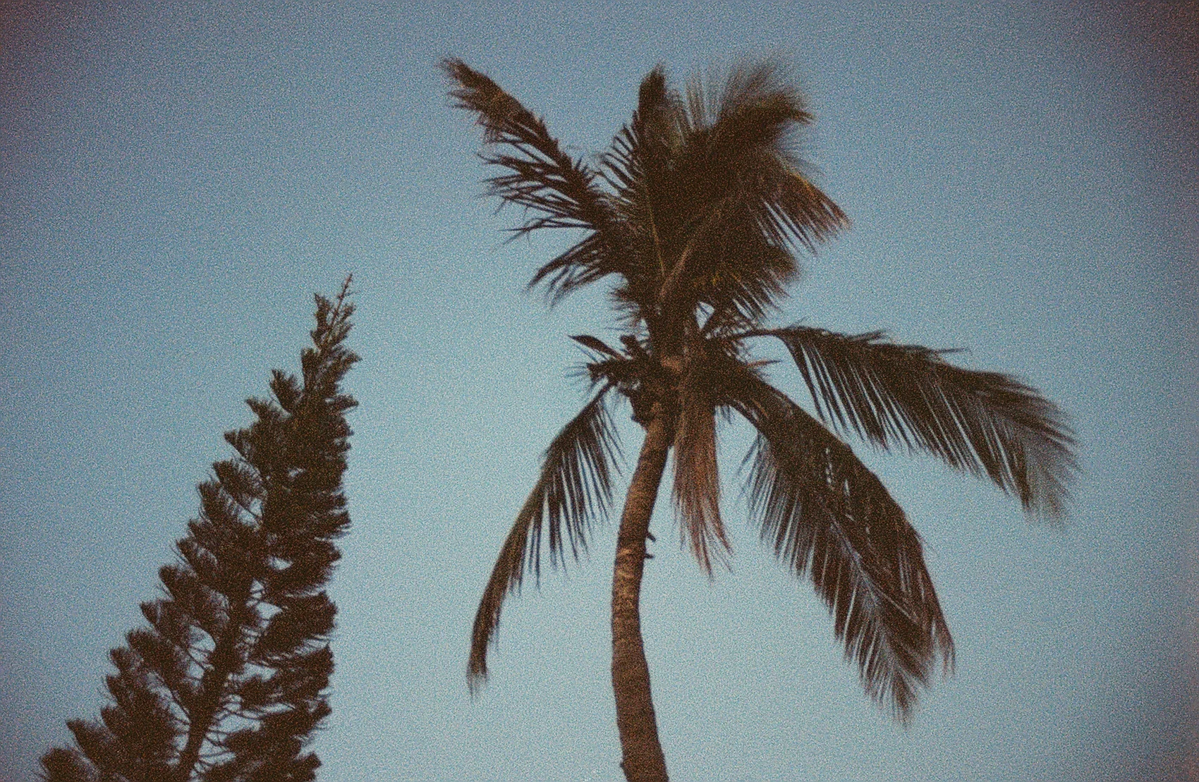 25229C1-R01-001.Jpg