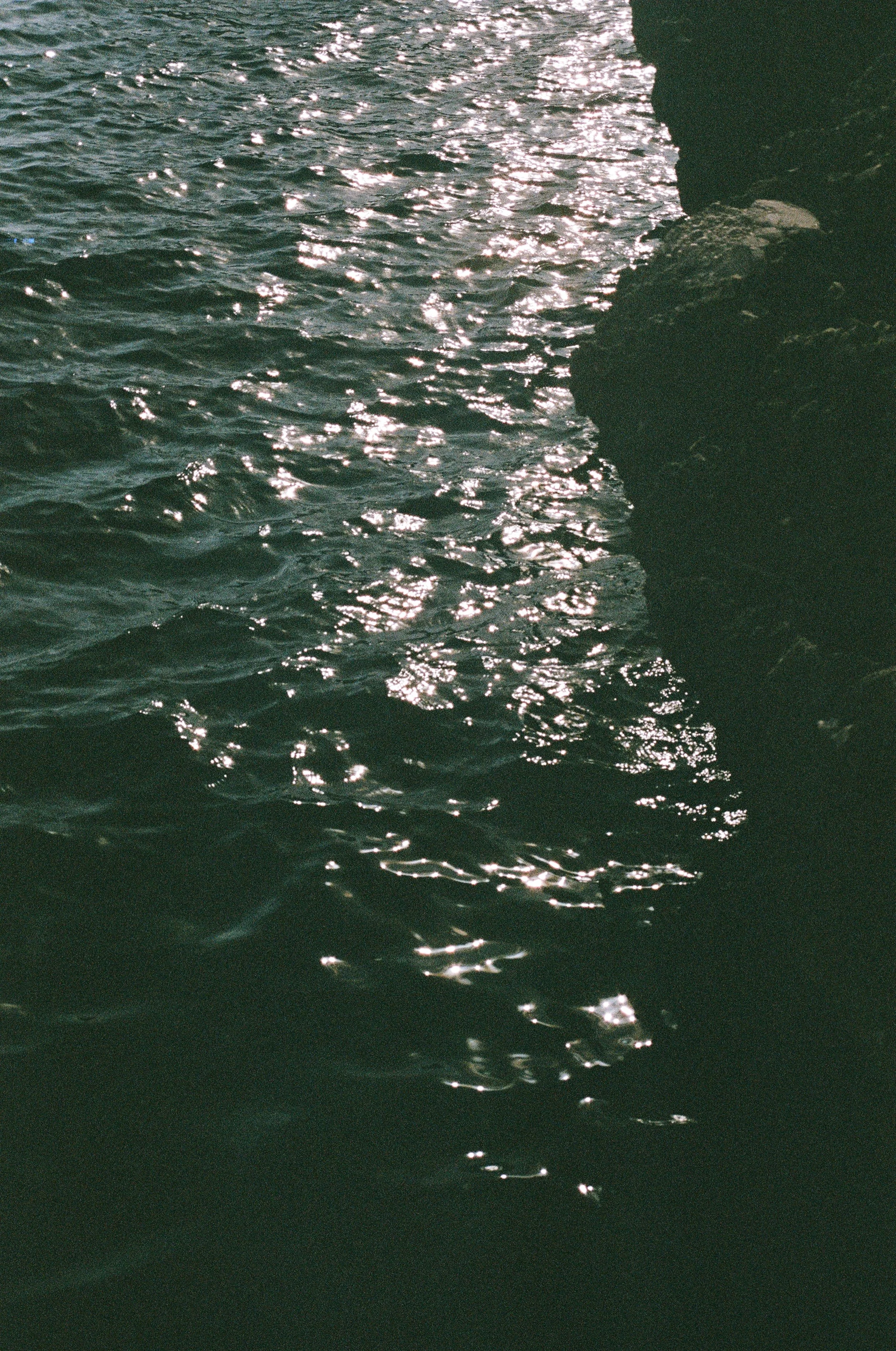 91830037.JPG