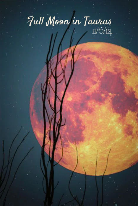 November! Thank God You're Here. 