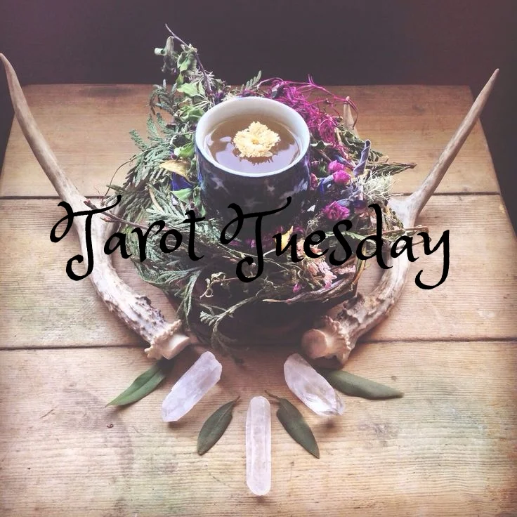 Tarot Tuesday - Nine of Cups 