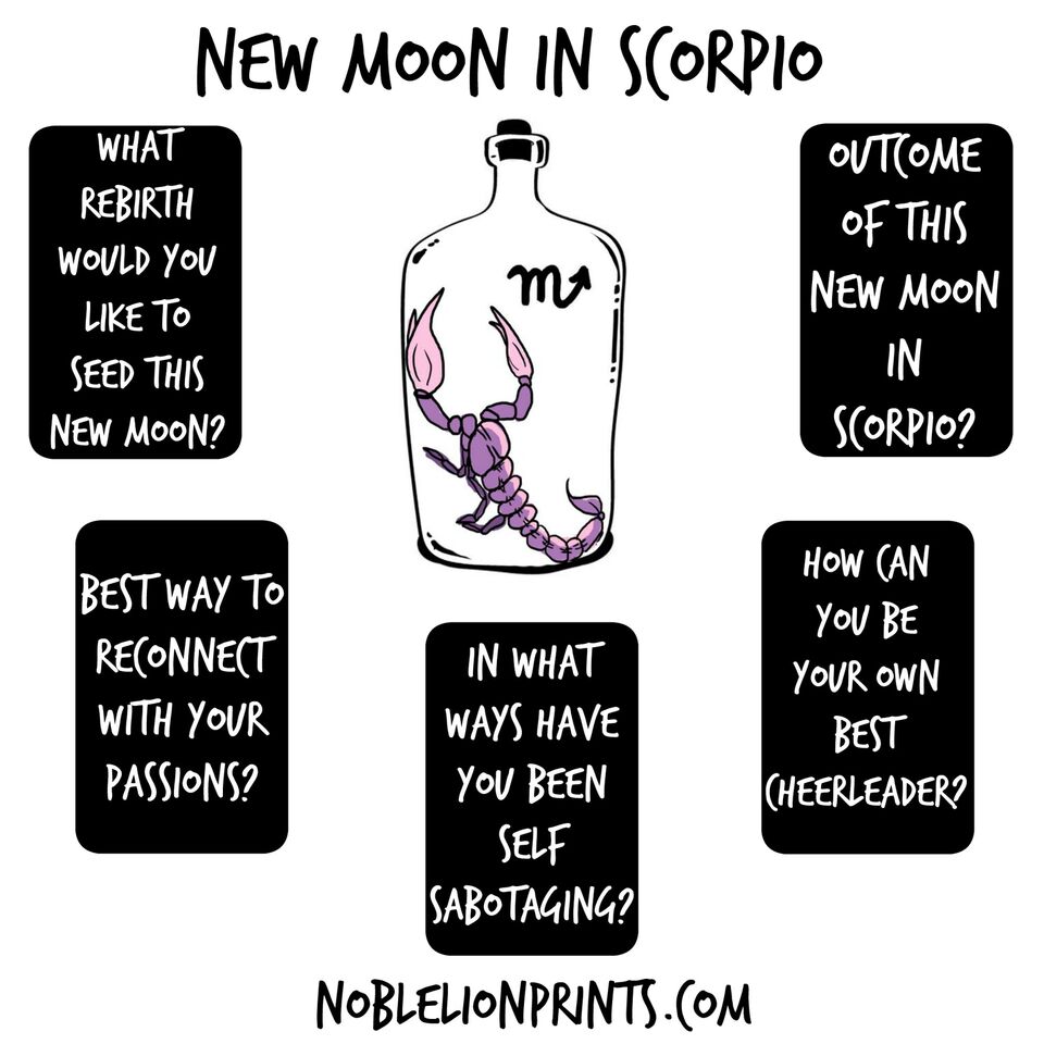 Scorpio Season 2021 Tarot Spread
