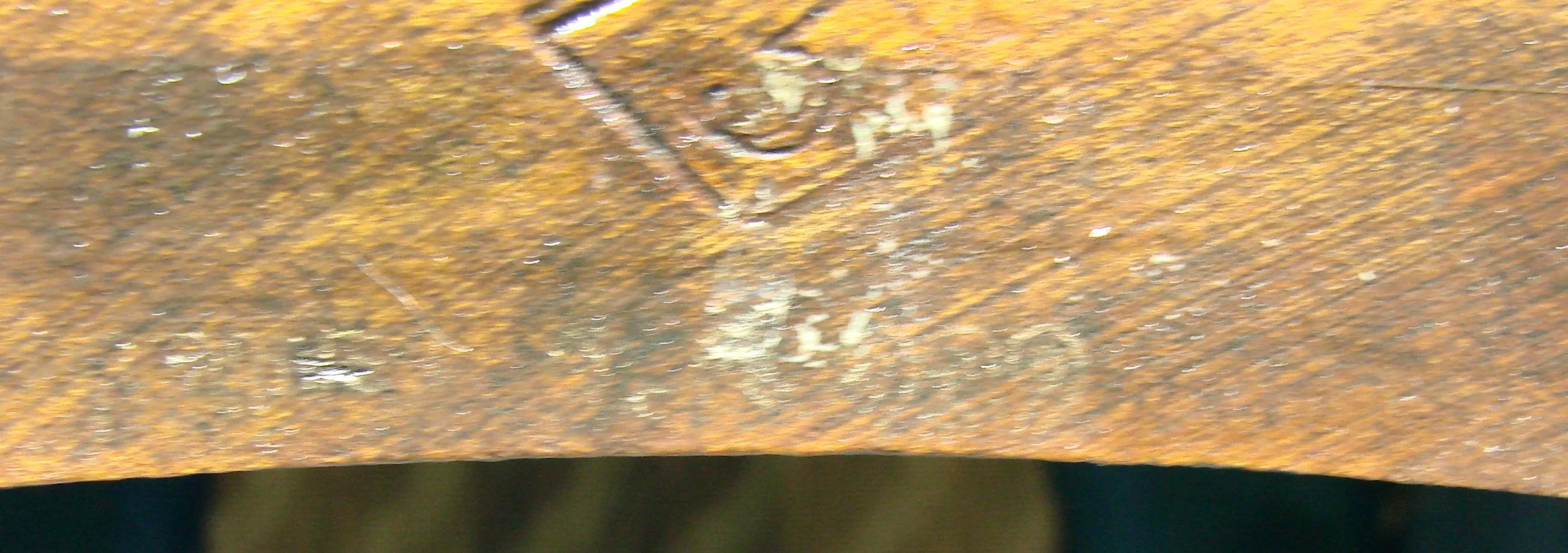 Dsc09806.jpg